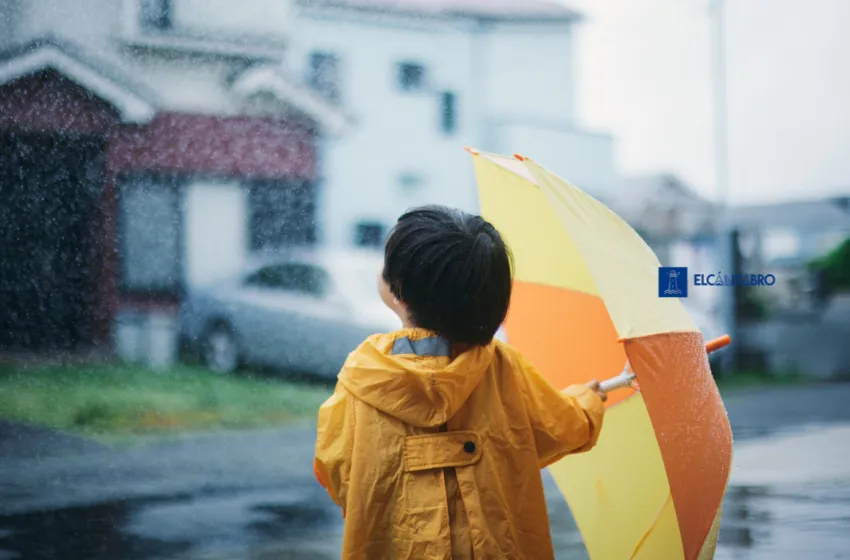 Lunes gris y húmedo en Cantabria: nieblas, lloviznas y ligero descenso térmico para empezar la semana