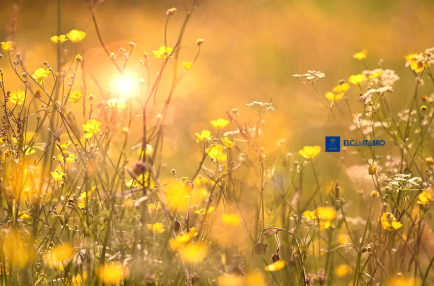 Noticias de Cantabria | El Cántabro | ¡Calor al acecho! Cantabria se prepara para un miércoles de cielos despejados y hasta 32 ºC en el sur