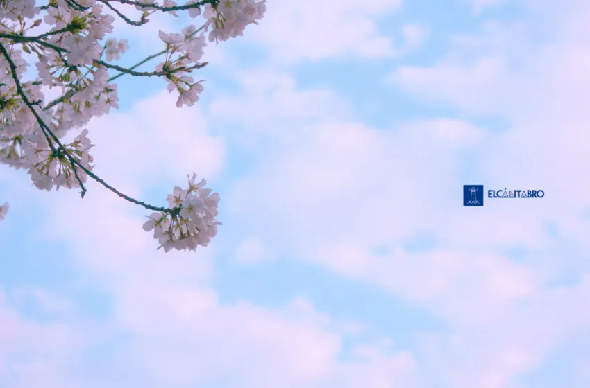 Noticias de Cantabria | El Cántabro | El domingo llega con más nubes, lluvias por la tarde y temperaturas estables en Cantabria