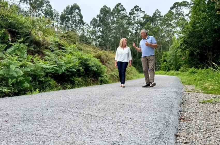 Noticias de Cantabria | El Cántabro | Susinos visita el camino acondicionado por su Consejería en Cos para mejorar la seguridad de los ganaderos de la zona