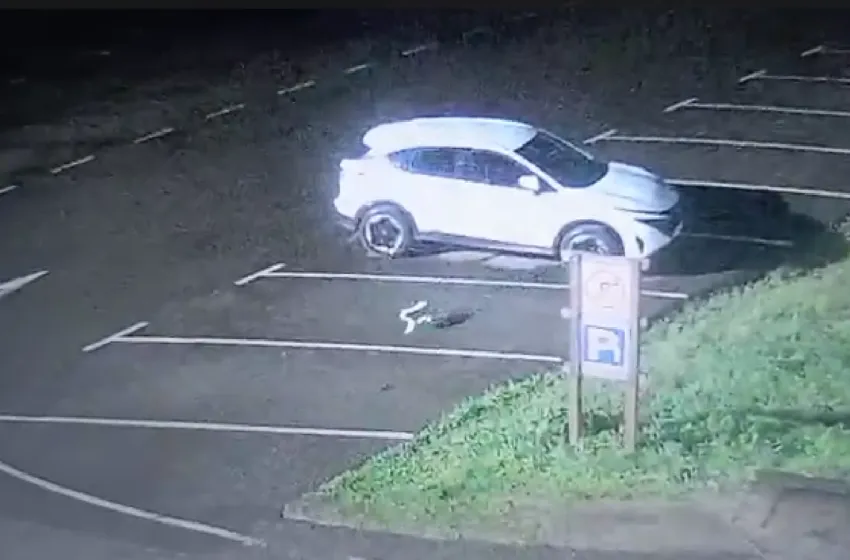  Un animal salvaje ha sido el causante de los desperfectos en varios vehículos del Parque de la Naturaleza de Cabarceno que fueron denunciados el pasado mes de febrero