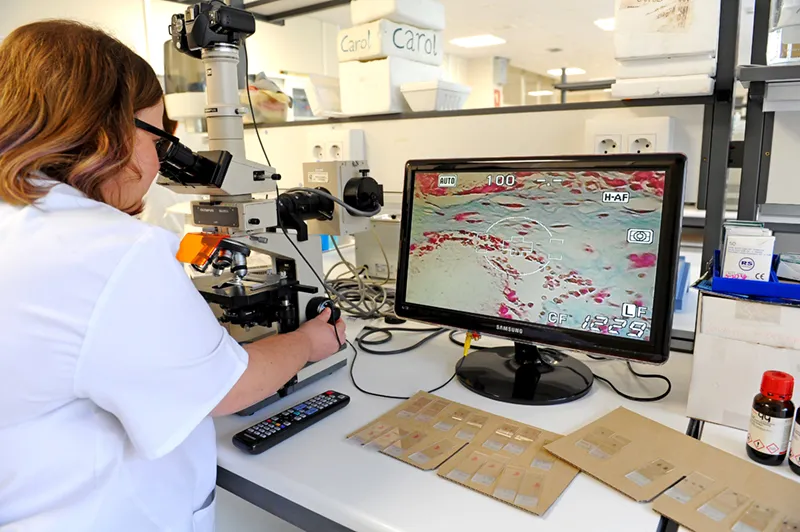 Noticias de Cantabria | El Cántabro | IDIVAL destina más de 460.000€ a sus grupos de investigación para impulsar la producción científica en Cantabria