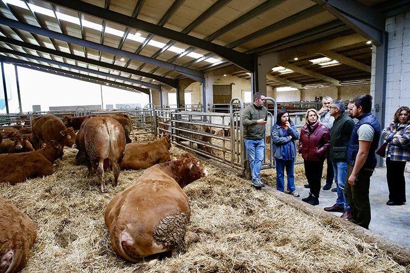 Desarrollo Rural destina 5,5 millones de euros para inversiones destinadas a la modernización y planes de mejora de explotaciones agrarias