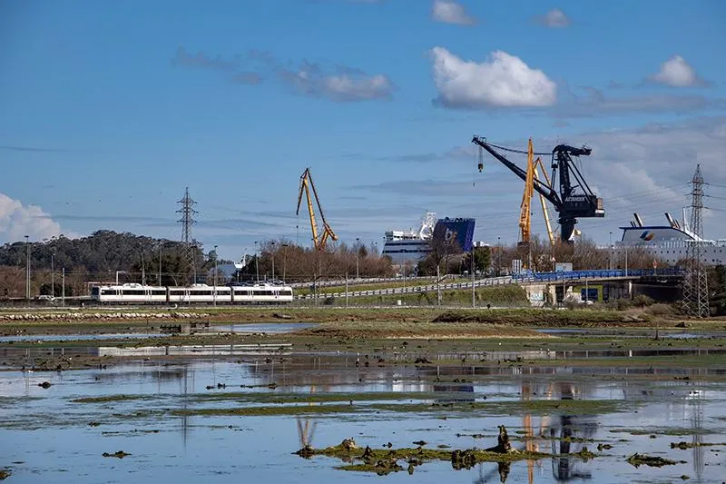 Noticias de Cantabria | El Cántabro | Desarrollo Rural confirma que antes de finalizar la legislatura estará aprobado el ANEI de las marismas de El Astillero