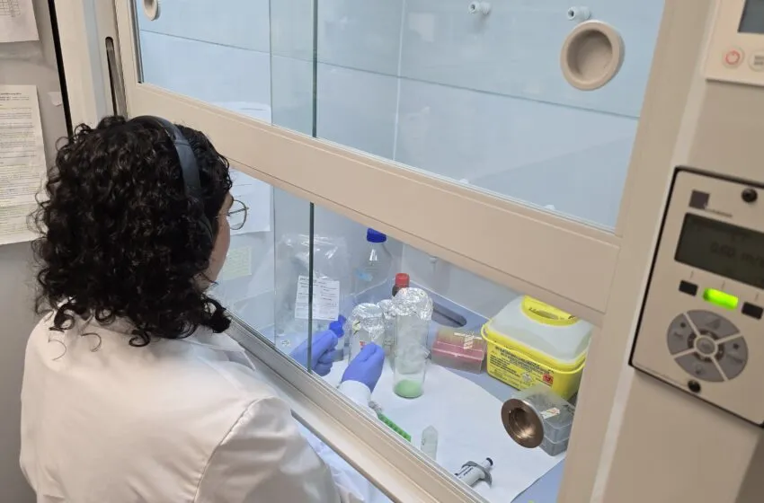  La Universidad de Cantabria capta más de 3 millones de euros en la convocatoria de Proyectos de Generación del Conocimiento 2024