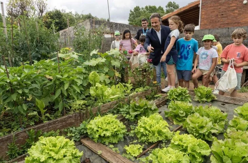  Camargo cierra julio con más de 1.300 participantes en los campus estivales de ocio educativo y deportivo