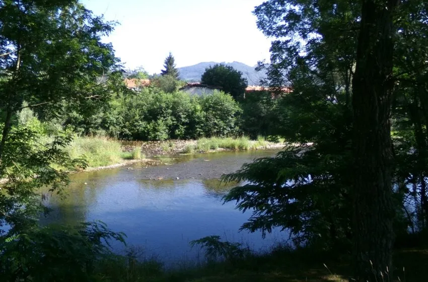  Las Zonas Especiales de Conservación del río Asón y Marismas de Santoña, Victoria y Joyel, un tesoro natural en el oriente de Cantabria