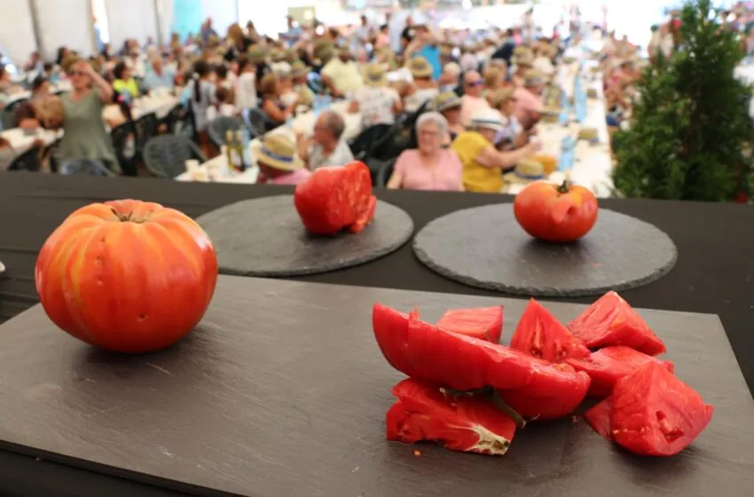 Emilio Sainz se alza con el premio al mejor tomate en el Festival del tomate de Santa Cruz de Bezana