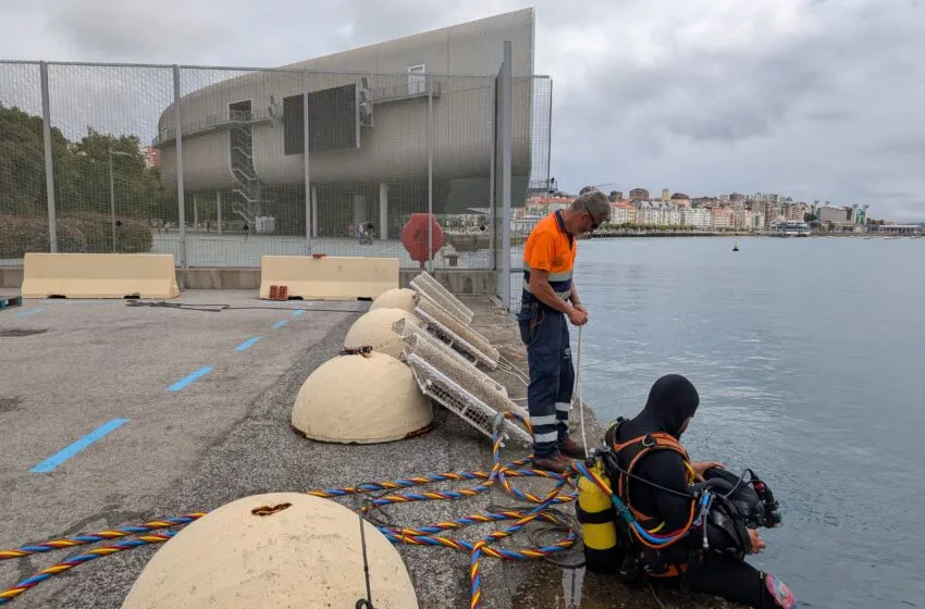El Puerto de Santander instala seis micro arrecifes en el muelle de Albareda para potenciar la biodiversidad marina