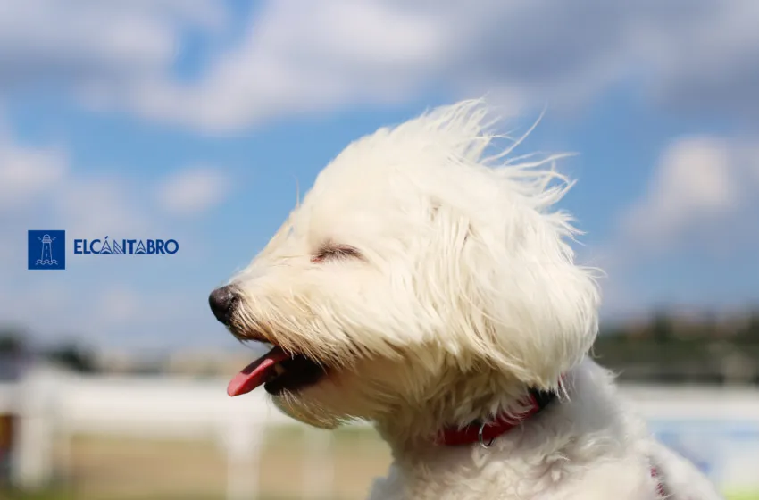 Noticias de Cantabria | El Cántabro | Septiembre arranca en Cantabria con nubes, lluvias dispersas y rachas fuertes de viento en la costa