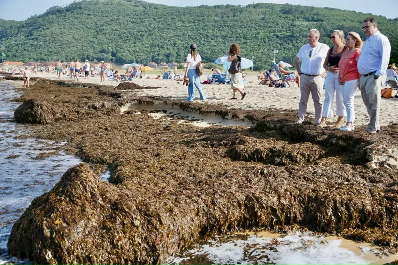 El operativo de emergencia desplegado por el Gobierno de Cantabria en las playas de Noja ha retirado más de 200 toneladas de algas invasoras desde ayer