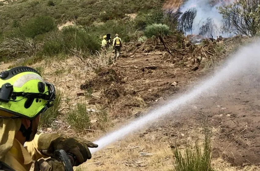 Noticias de Cantabria | El Cántabro | Desarrollo Rural apela a la responsabilidad de las organizaciones sindicales ante el trabajo del operativo de incendios y afirma que el desplegado en León ha funcionado "perfectamente"
