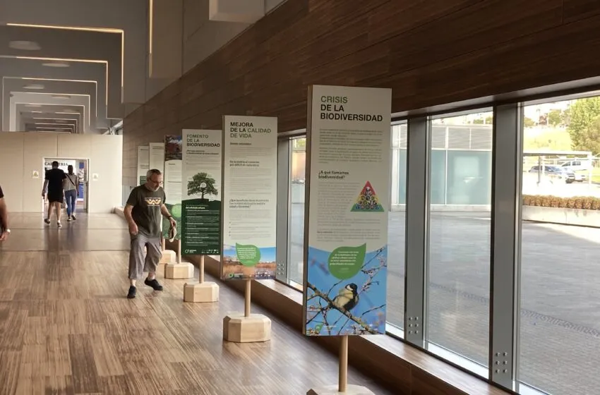 Noticias de Cantabria | El Cántabro | Santander Capital Natural expone el papel crucial de la naturaleza para la salud en Valdecilla