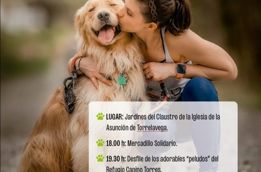  El 16 de agosto se celebra la IX Jornada de Adopción y Tenencia Responsable de Animales