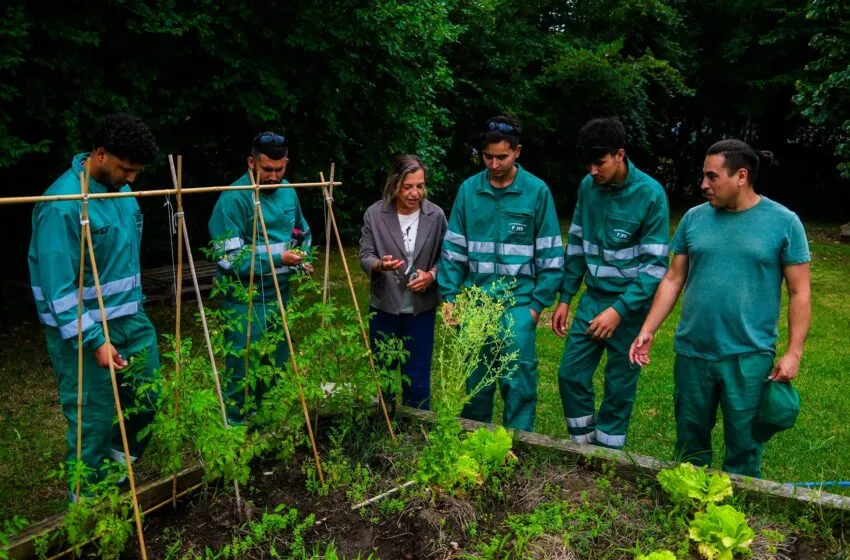 Santander forma a un grupo de alumnos en capacidades profesionales sobre viveros y jardinería