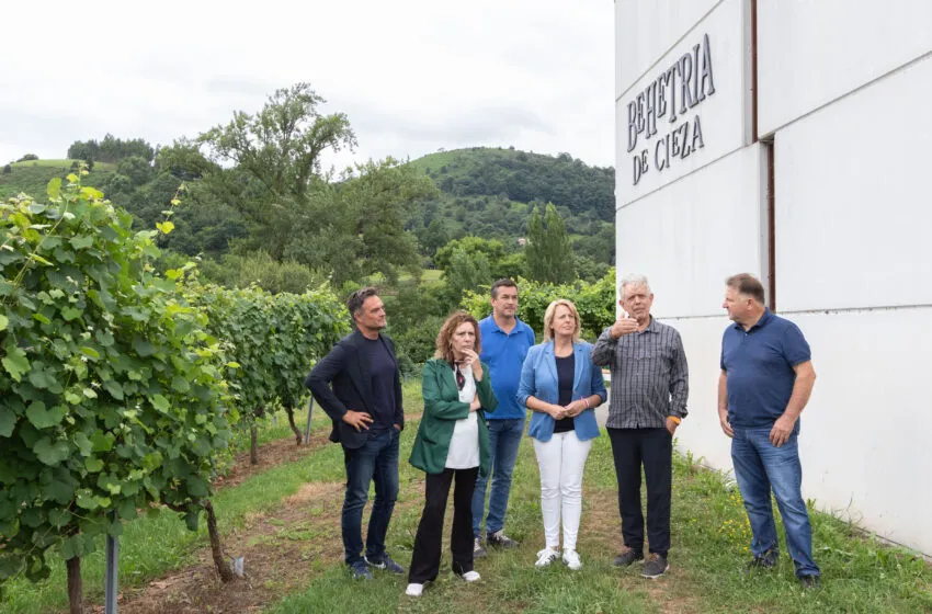 Noticias de Cantabria | El Cántabro | Susinos afirma que la futura Agrupación de Productores de Vino impulsará al sector con un sello de calidad diferenciada
