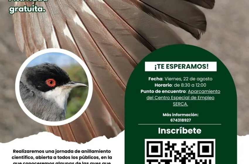  Taller de anillamiento científico el 22 de agosto dentro del programa de actividades de ‘Torrelavega Conexión Natural’