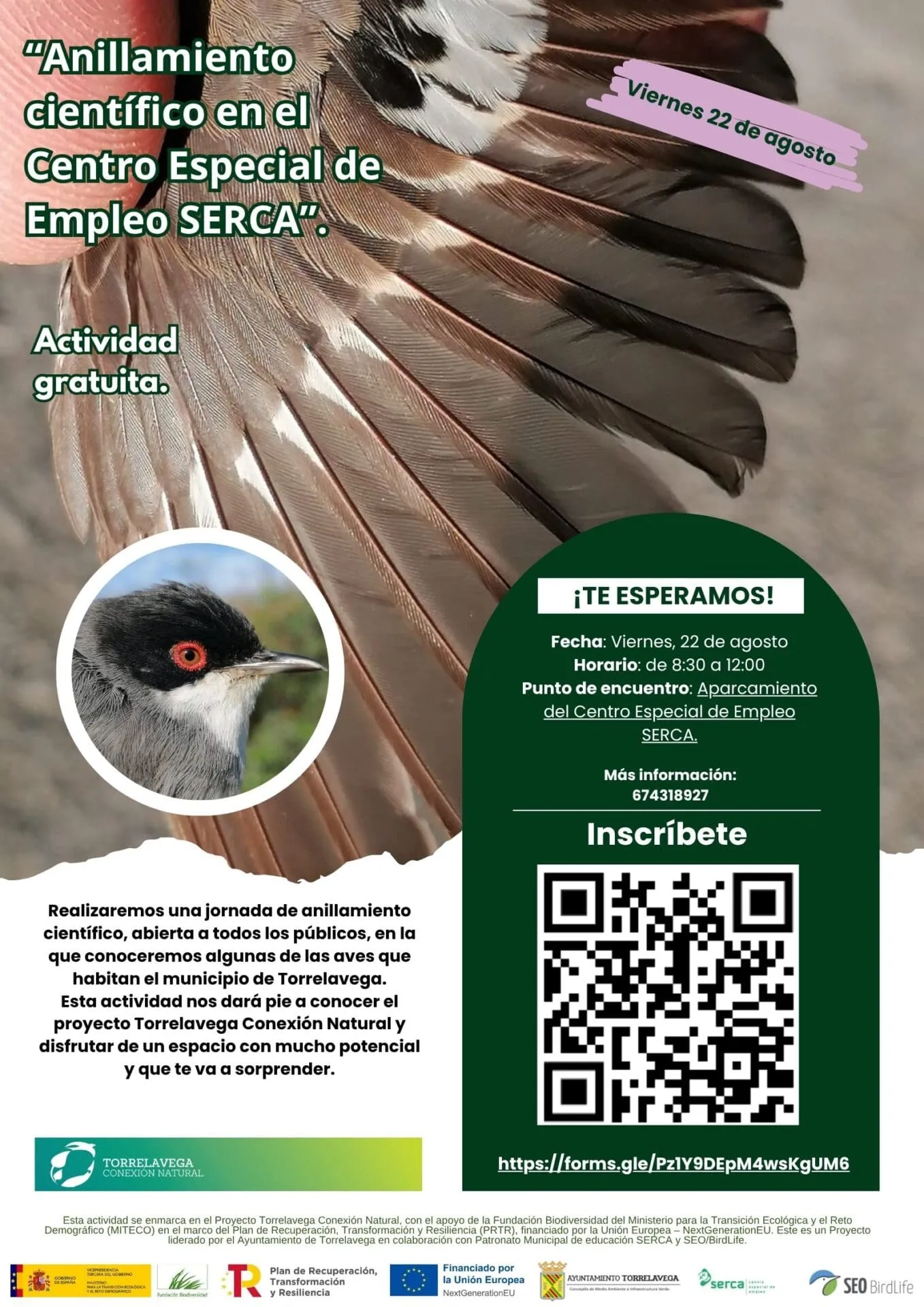 Taller de anillamiento científico el 22 de agosto dentro del programa de actividades de ‘Torrelavega Conexión Natural’