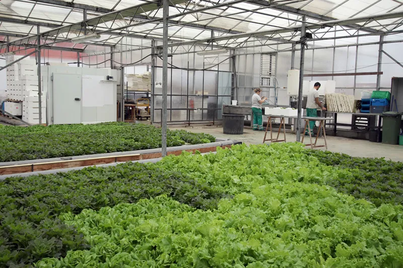 Noticias de Cantabria | El Cántabro | El Gobierno convoca las subvenciones para financiar las unidades de apoyo de los centros especiales de empleo por importe de 300.000 euros