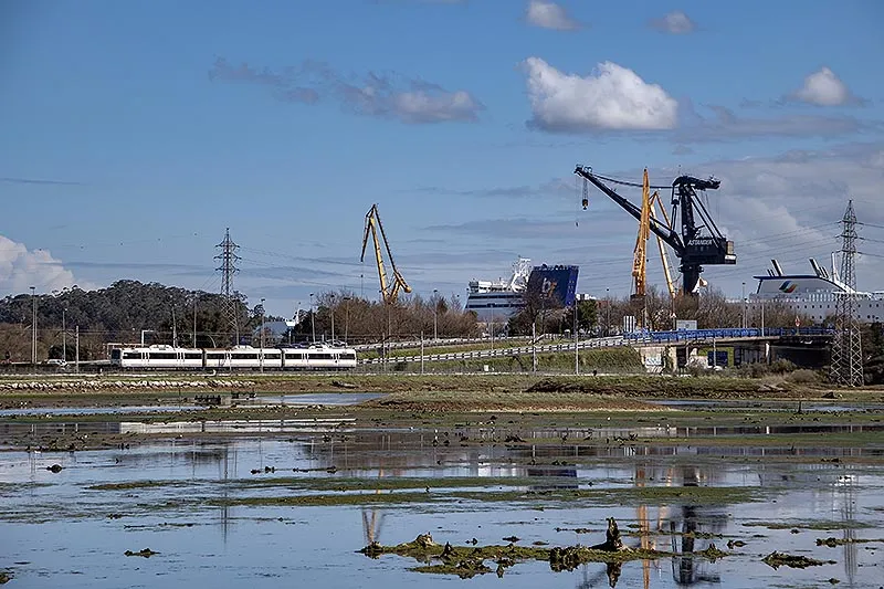  El Gobierno de Cantabria somete a trámite de audiencia e información pública el proyecto de Decreto de Declaración del ANEI Marismas de Astillero
