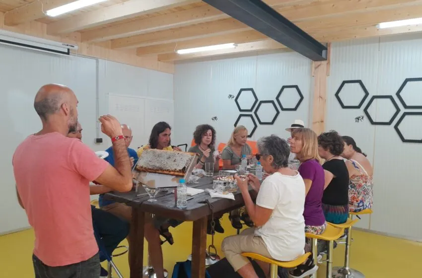 Noticias de Cantabria | El Cántabro | La Fundación Botín lanza la VIII edición de NANSAEMPRENDE y amplía su alcance a Asturias