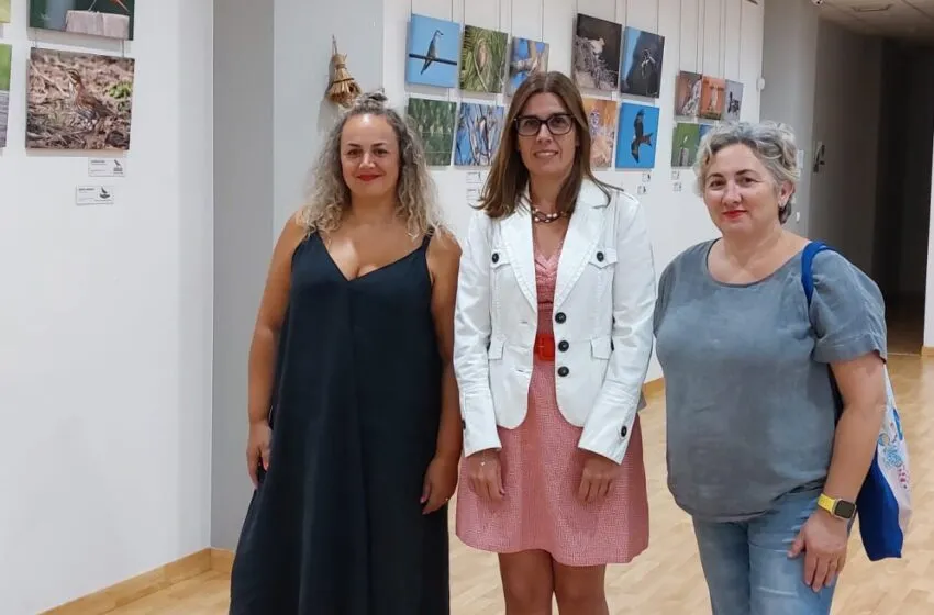  La Casa de Cultura Fernando Velarde acoge la muestra de fotografías ornitológicas de Belén Alonso Rodríguez