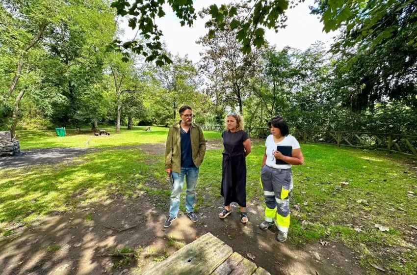  Medio Ambiente inicia la mejora de la zona de barbacoas del Parque de La Viesca