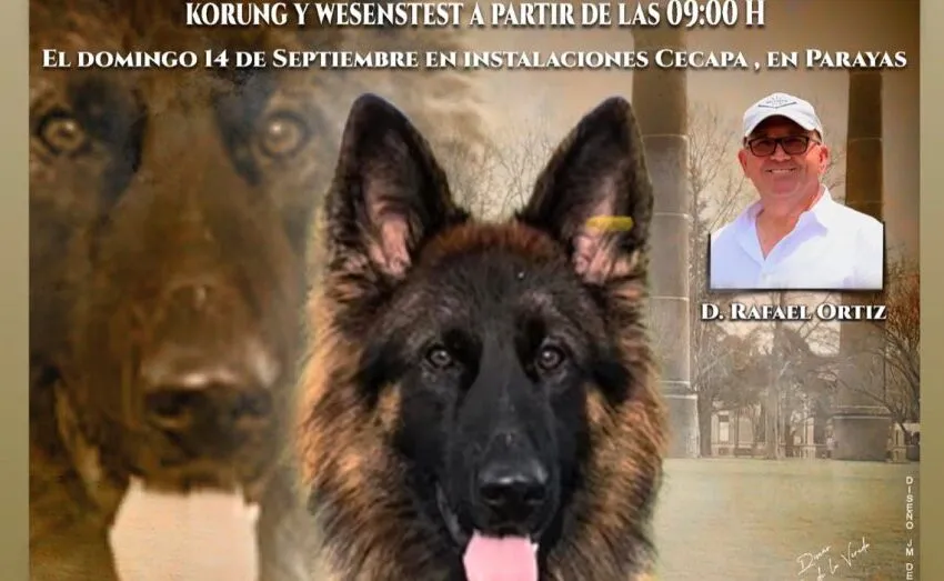 La Cantábrica acogerá el sábado 13 de septiembre una actividad del Real Club Español del Perro Pastor Alemán