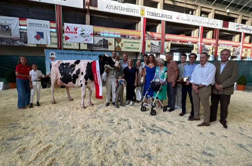 Noticias de Cantabria | El Cántabro | Susinos destaca el compromiso del sector ganadero en el 29 Concurso Morfológico de Ganado Frisón, en el que se ha impuesto la vaca Arenetes Dallas, de la ganadería Cudaña