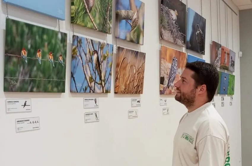 La Casa de Cultura Fernando Velarde acoge la programación expositiva para los próximos meses