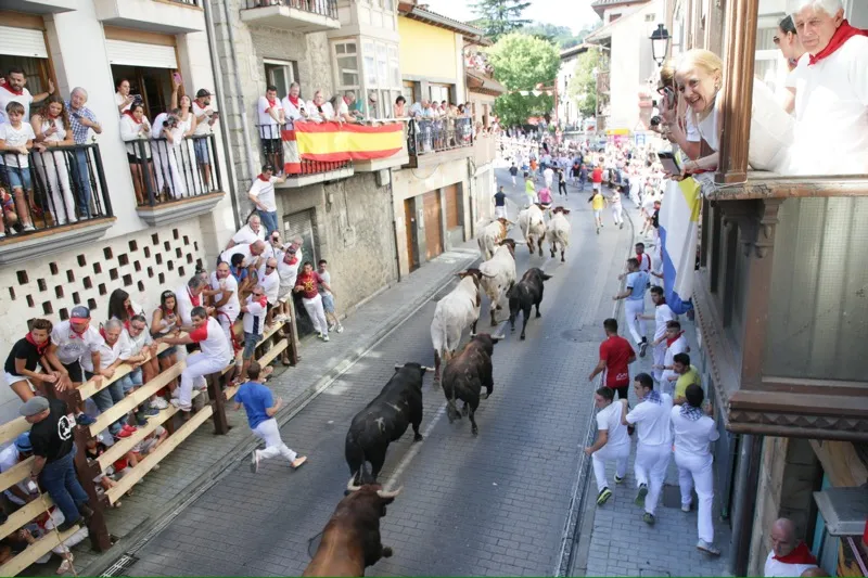Noticias de Cantabria | El Cántabro | La consejera de Presidencia asiste al primer encierro de las Fiestas de la Virgen Niña Ampuero