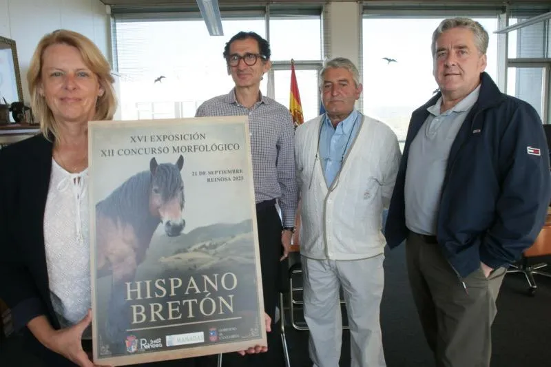  Reinosa reunirá el domingo a 15 ganaderías y 55 ejemplares para exponer la pureza de la raza equina hispano-bretona
