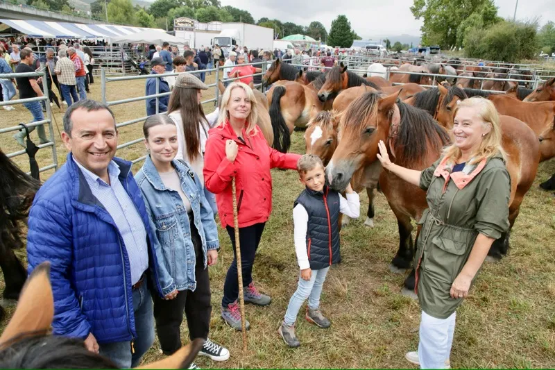 Noticias de Cantabria | El Cántabro | Susinos celebra "el éxito" de la Feria Virgen del Camino de Molledo 1.200 cabezas de ganado y 58 ganaderías