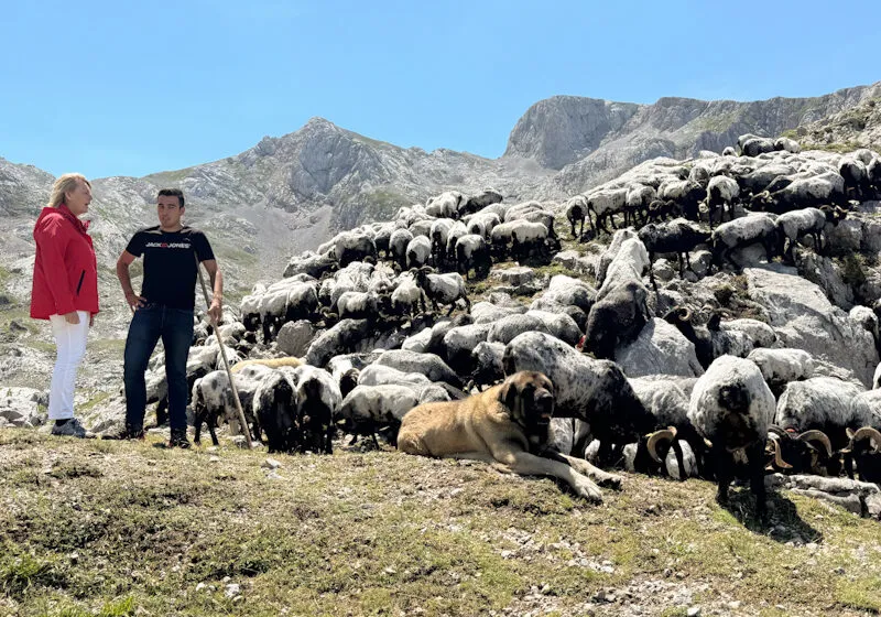 Noticias de Cantabria | El Cántabro | Cantabria no registra casos de EHE gracias a la respuesta de los ganaderos y las medidas impulsadas por el Gobierno autonómico con la vacunación
