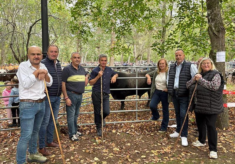 Media asiste a la tradicional feria ganadera de Alceda en Corvera de Toranzo