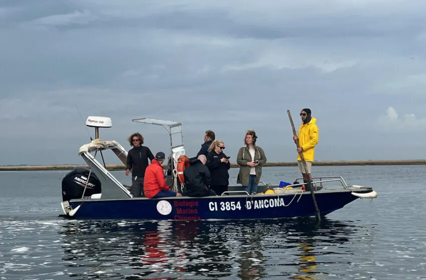  IHCantabria participa en el lanzamiento del proyecto BLUESHORES, que promueve la adopción de soluciones híbridas para proteger las zonas costeras urbanas