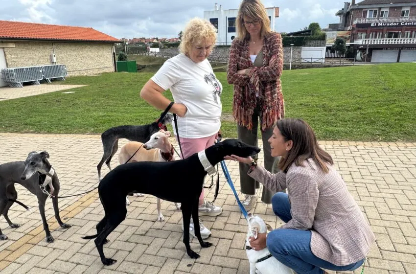  Vuelve a Bezana el Dog Fest, la gran fiesta para perros en Cantabria