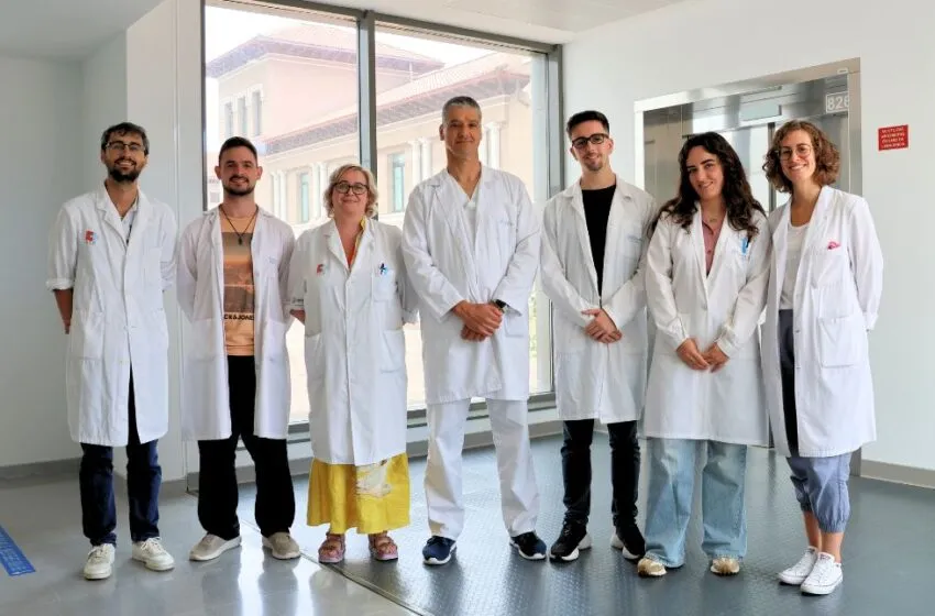 Investigadores del IDIVAL identifican un nuevo potencial terapéutico contra la leucemia linfocítica crónica