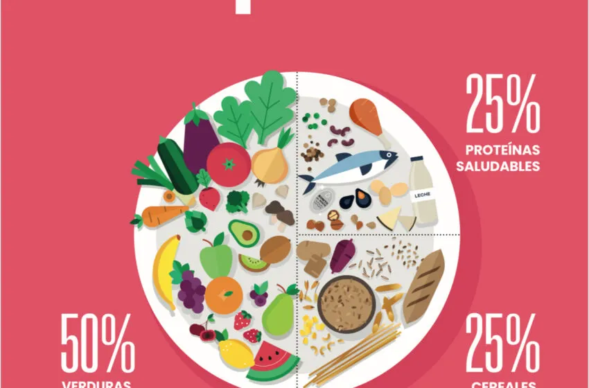 Noticias de Cantabria | El Cántabro | 'Colorea tu plato', nueva campaña escolar de Salud Pública para promocionar la vida saludable y prevenir la obesidad entre los menores cántabros