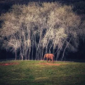Noticias de Cantabria | El Cántabro | Nueve fotografías de Cantabria compiten por el primer premio nacional en el certamen “Mi Rincón Favorito”