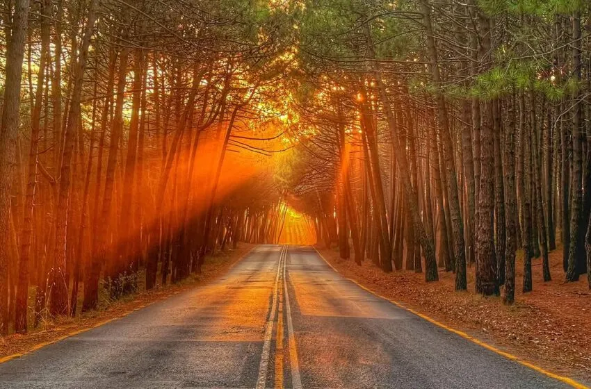 Noticias de Cantabria | El Cántabro | Nueve fotografías de Cantabria compiten por el primer premio nacional en el certamen “Mi Rincón Favorito”