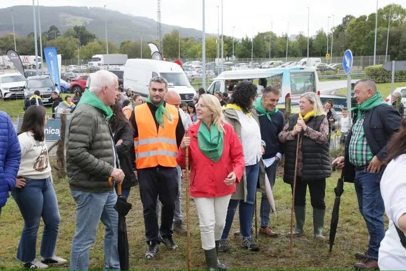 Noticias de Cantabria | El Cántabro | Susinos asiste a la VII Concentración de Ganado Trasmerano de Anero
