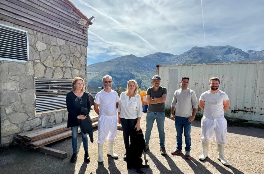 Noticias de Cantabria | El Cántabro | Susinos felicita a la quesería Javier Campo por producir el 'Mejor queso azul de España 2025'