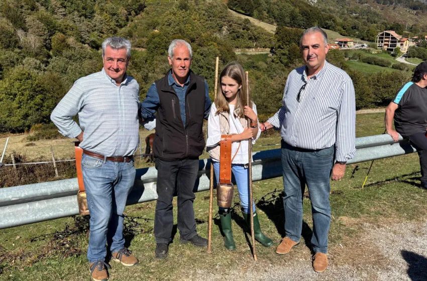 Noticias de Cantabria | El Cántabro | Más de 400 animales participan en la tradicional concentración de ganado equino de Polaciones