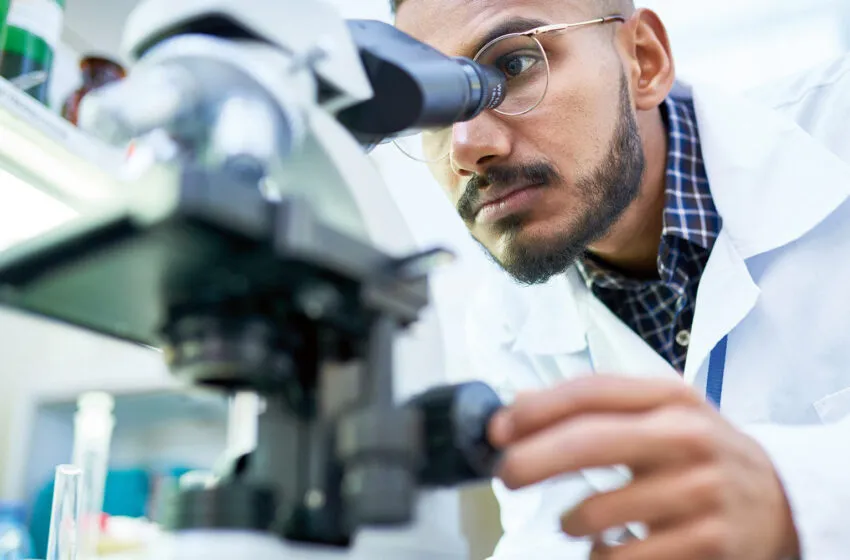 Noticias de Cantabria | El Cántabro | El Gobierno de Cantabria incrementa hasta 2,5 millones las ayudas para contratar jóvenes investigadores demandantes de empleo