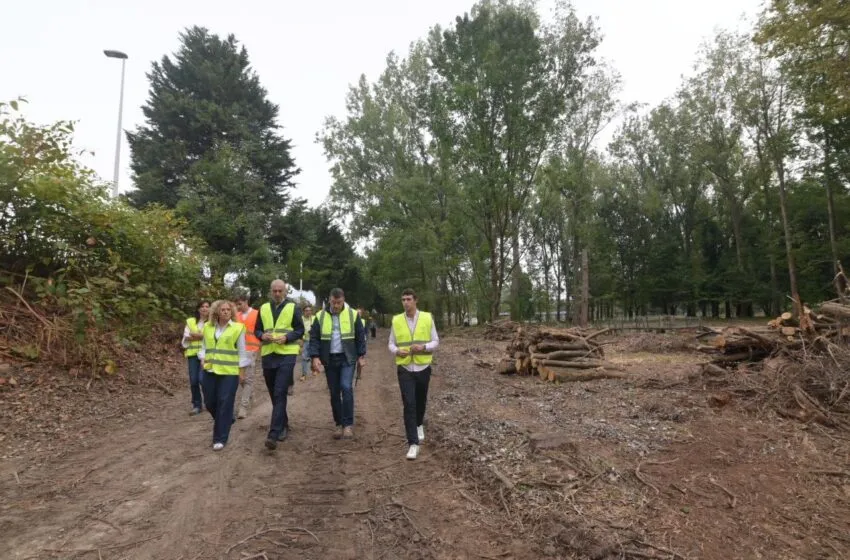  La primera fase de la restauración del Parque de Las Tablas elimina plantas y especies arbóreas invasoras para plantar árboles autóctonos