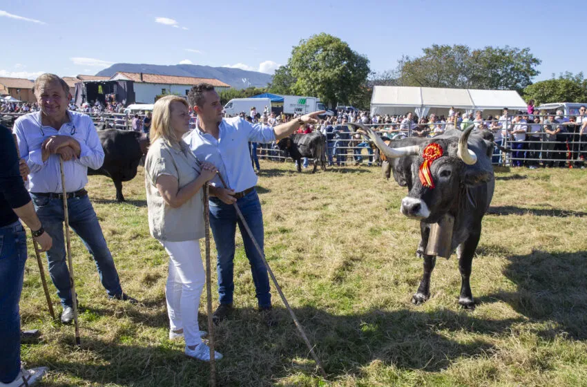 Noticias de Cantabria | El Cántabro | Susinos celebra el “rotundo éxito” de la Olimpiada del Tudanco con miles de personas en Cabezón de la Sal