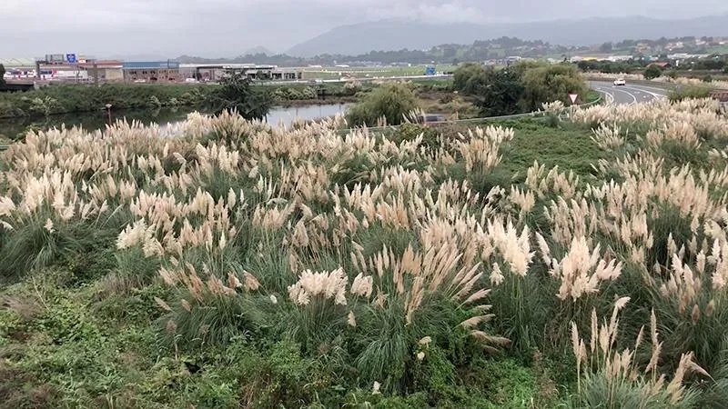 Noticias de Cantabria | El Cántabro | El Gobierno concede 270.630 euros a 30 ayuntamientos para la elaboración de un inventario de áreas degradadas