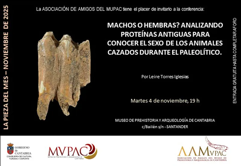 Noticias de Cantabria | El Cántabro | Una conferencia sobre las características de las proteínas para conocer distintos aspectos del Paleolítico pieza del mes del MUPAC