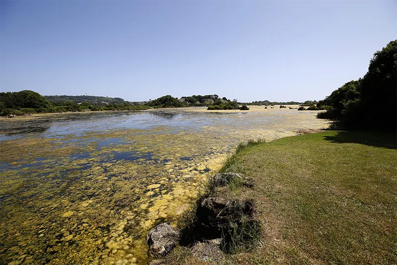 Noticias de Cantabria | El Cántabro | El Gobierno convoca las subvenciones para fomentar el mantenimiento y promoción de la Red de Espacios Naturales Protegidos de Cantabria